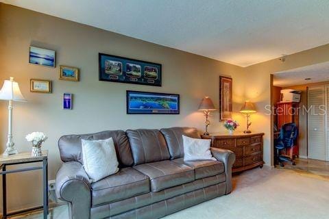 living area featuring carpet flooring
