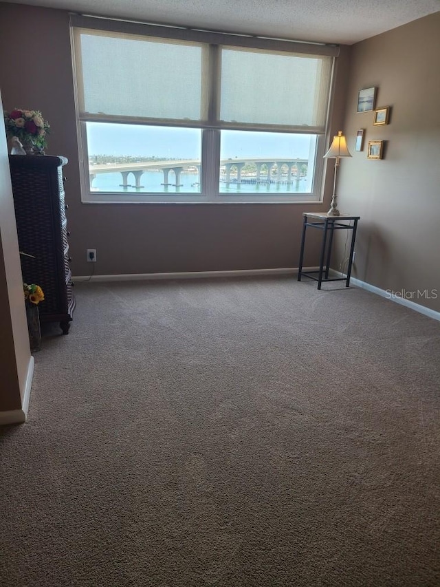 6265 Sun Blvd Unit 805, Saint Petersburg, FL 33715 - carpeted empty room with baseboards