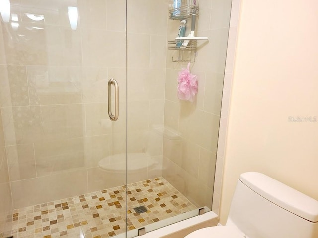 6265 Sun Blvd Unit 805, Saint Petersburg, FL 33715 - bathroom featuring toilet and a shower stall