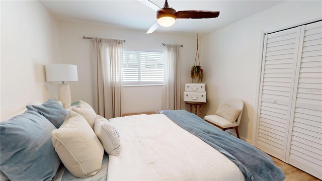 1849 Del Robles Dr, Clearwater, FL 33764 - bedroom featuring a ceiling fan and light wood finished floors