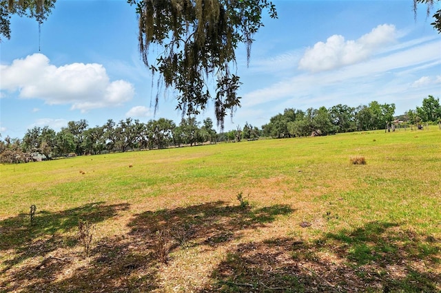 3535AND3511 E Keysville Rd, Lithia, FL 33547 - photo 5