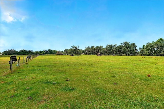 3535AND3511 E Keysville Rd, Lithia, FL 33547 - photo 7