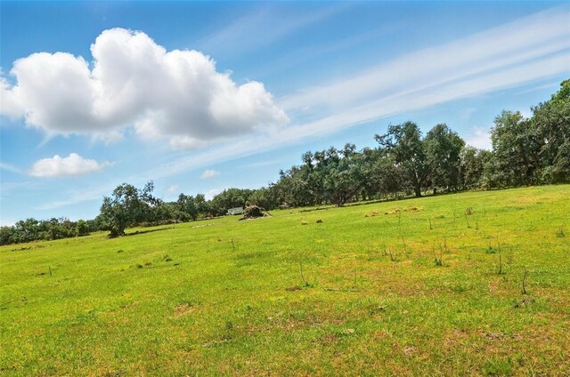 3535AND3511 E Keysville Rd, Lithia, FL 33547 - photo 8