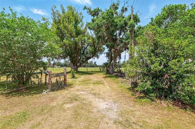 3535AND3511 E Keysville Rd, Lithia, FL 33547 - photo 9