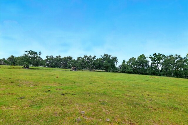 3535AND3511 E Keysville Rd, Lithia, FL 33547 - photo 36