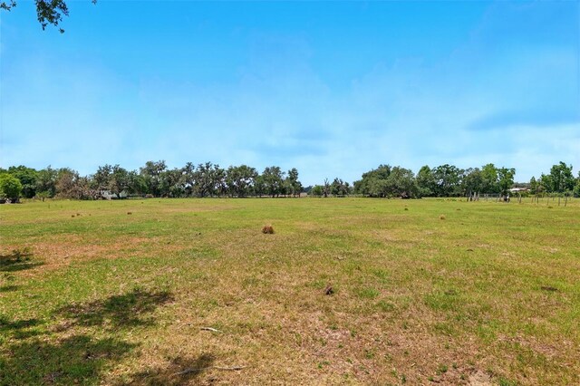 3535AND3511 E Keysville Rd, Lithia, FL 33547 - photo 44