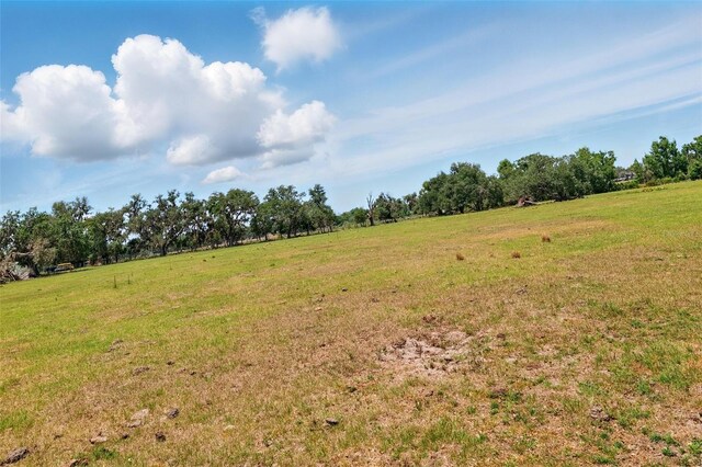 3535AND3511 E Keysville Rd, Lithia, FL 33547 - photo 45