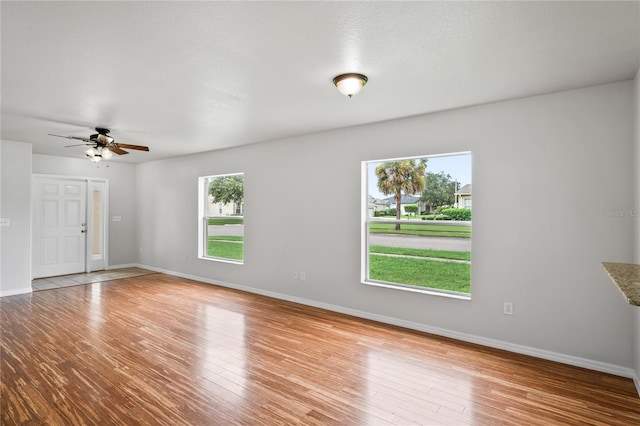 1506 Lenton Rose Ct, Trinity, FL 34655 - spare room featuring a healthy amount of sunlight, baseboards, and wood finished floors