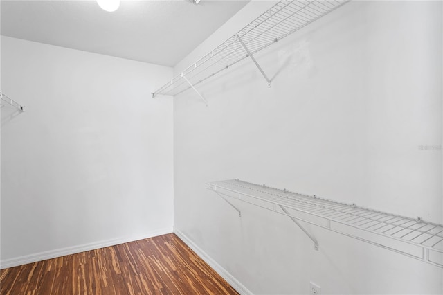 1506 Lenton Rose Ct, Trinity, FL 34655 - spacious closet with wood finished floors