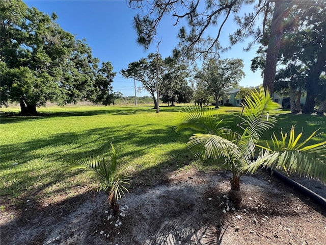 229 Mary Dr Unit 229, Oldsmar, FL 34677 - photo 5