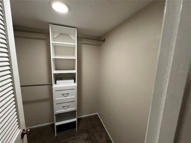 229 Mary Dr Unit 229, Oldsmar, FL 34677 - photo 14