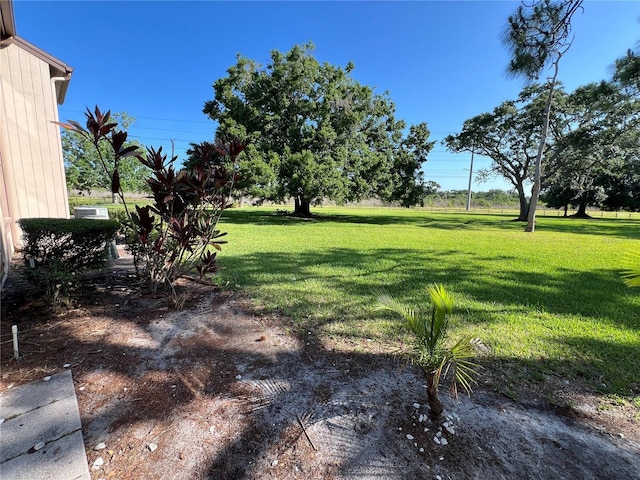 229 Mary Dr Unit 229, Oldsmar, FL 34677 - photo 21