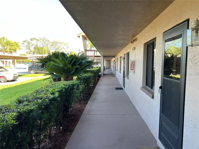 229 Mary Dr Unit 229, Oldsmar, FL 34677 - photo 25