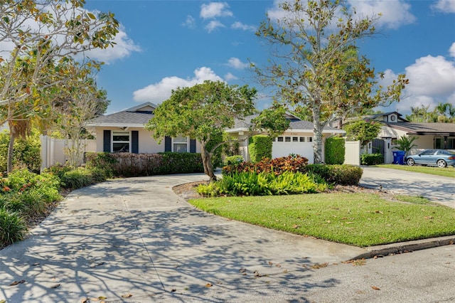 219 Miramar Blvd NE, Saint Petersburg, FL 33704 - photo 8