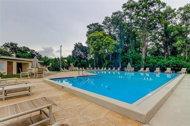 2600 Forest Run Ct, Clearwater, FL 33761 - community pool with a patio area, view of wooded area, fence, and outdoor dining space