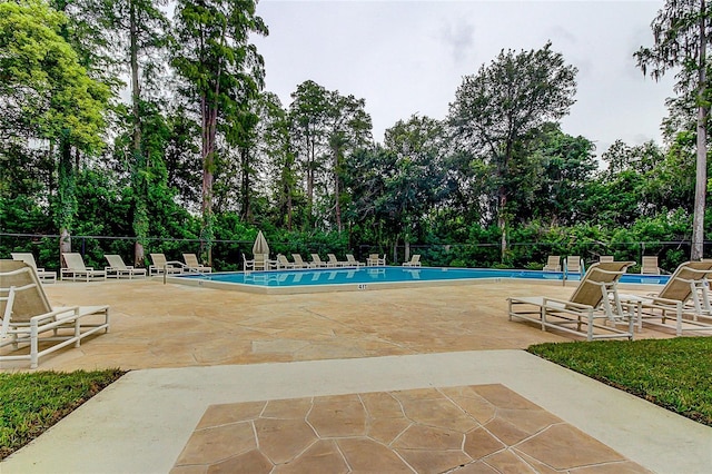 2600 Forest Run Ct, Clearwater, FL 33761 - community pool featuring view of scattered trees, fence, and a patio area