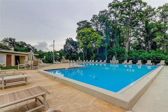 2600 Forest Run Ct, Clearwater, FL 33761 - photo 33