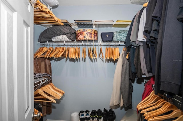 view of spacious closet