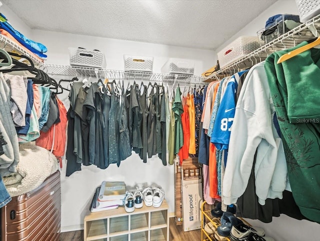 spacious closet with wood finished floors