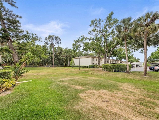 view of yard