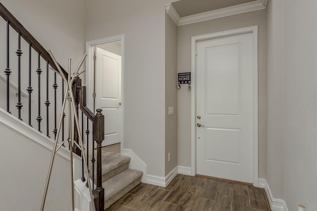 21590 Violet Periwinkle Dr, Land O Lakes, FL 34637 - foyer featuring stairs, baseboards, ornamental molding, and wood finished floors