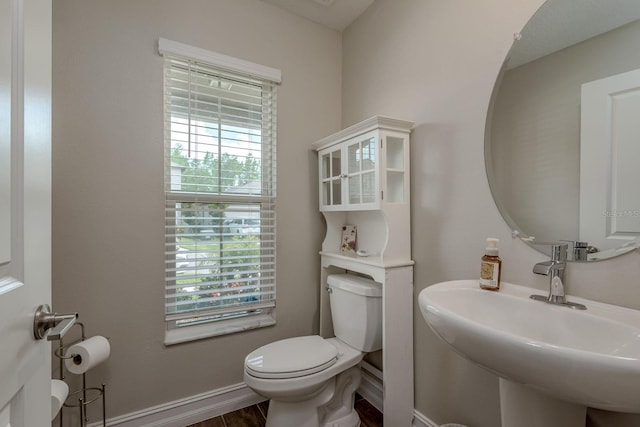 21590 Violet Periwinkle Dr, Land O Lakes, FL 34637 - half bathroom with a sink, toilet, and wood finished floors