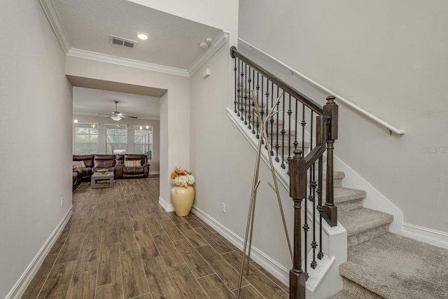 21590 Violet Periwinkle Dr, Land O Lakes, FL 34637 - stairs featuring ceiling fan, visible vents, crown molding, wood finished floors, and baseboards