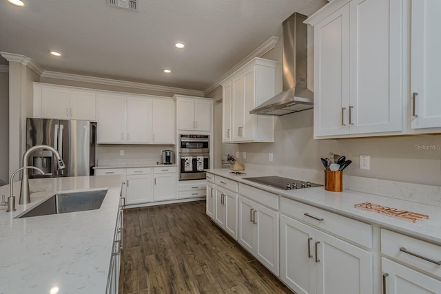 21590 Violet Periwinkle Dr, Land O Lakes, FL 34637 - kitchen featuring white cabinets, a sink, wall chimney exhaust hood, stainless steel appliances, and ornamental molding
