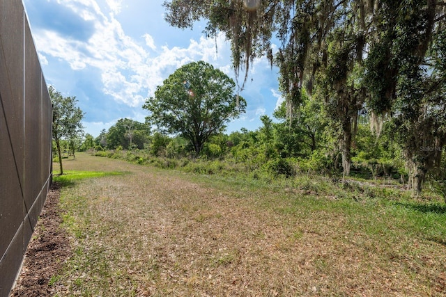 21590 Violet Periwinkle Dr, Land O Lakes, FL 34637 - view of yard