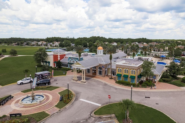21590 Violet Periwinkle Dr, Land O Lakes, FL 34637 - birds eye view of property