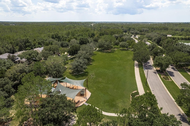 21590 Violet Periwinkle Dr, Land O Lakes, FL 34637 - bird's eye view with a wooded view