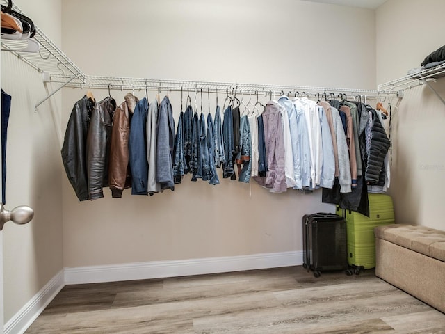 walk in closet featuring wood finished floors