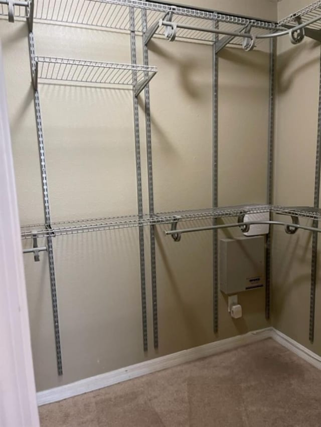 2950 Willowleaf Ln, Wesley Chapel, FL 33544 - spacious closet featuring carpet flooring