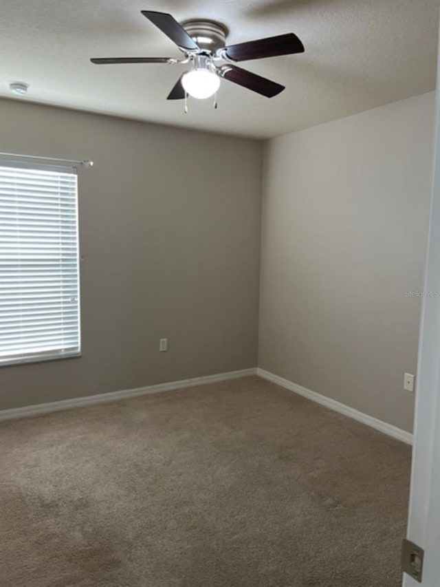 2950 Willowleaf Ln, Wesley Chapel, FL 33544 - carpeted spare room with baseboards, ceiling fan, and a wealth of natural light