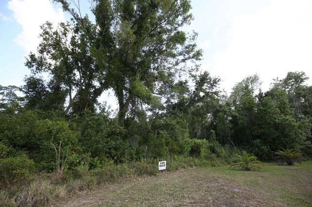 Libby Dr, Wauchula, FL 33873
