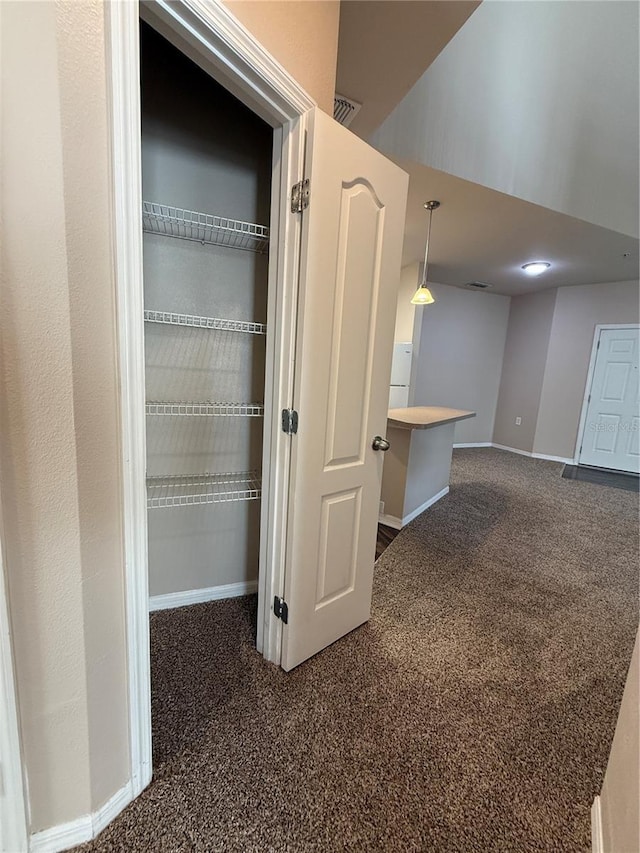 1530 Villa Capri Cir Unit 302, Odessa, FL 33556 - closet with visible vents