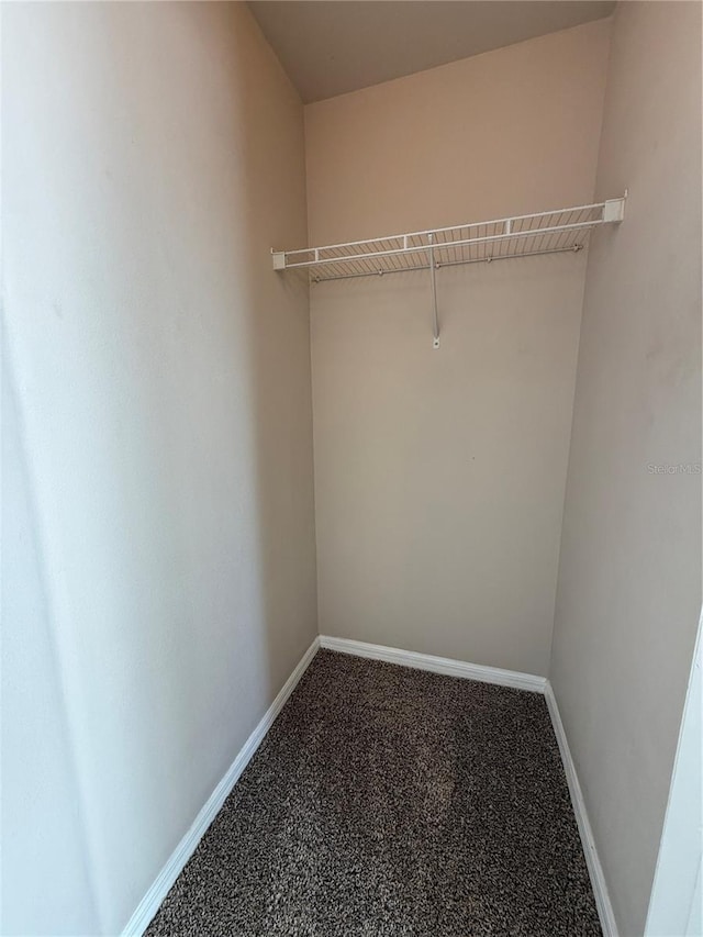 1530 Villa Capri Cir Unit 302, Odessa, FL 33556 - walk in closet with carpet floors
