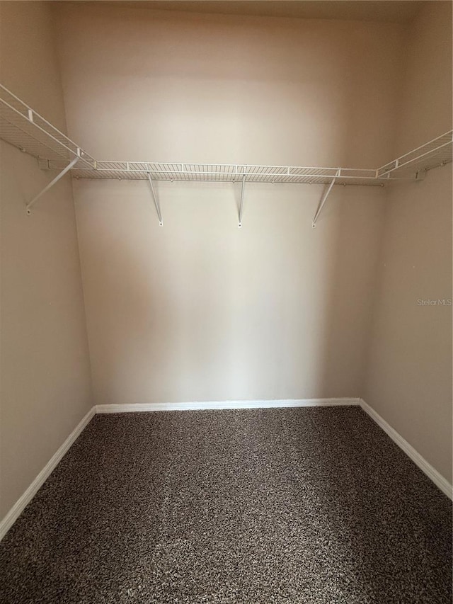 1530 Villa Capri Cir Unit 302, Odessa, FL 33556 - walk in closet with carpet