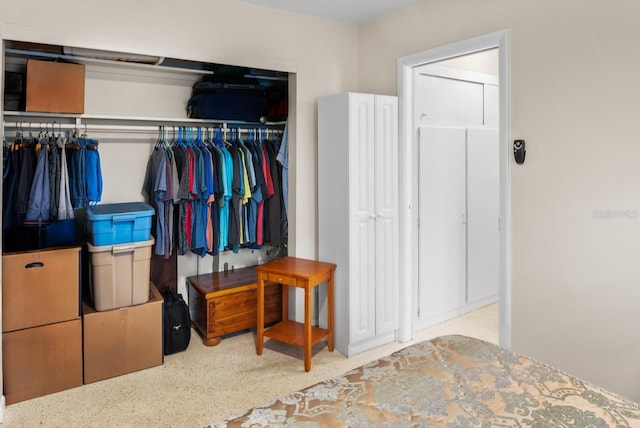 bedroom featuring a closet
