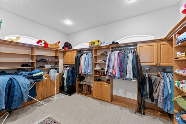walk in closet with light carpet