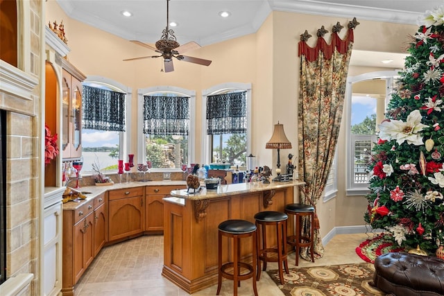 bar with a healthy amount of sunlight, baseboards, ornamental molding, and a ceiling fan