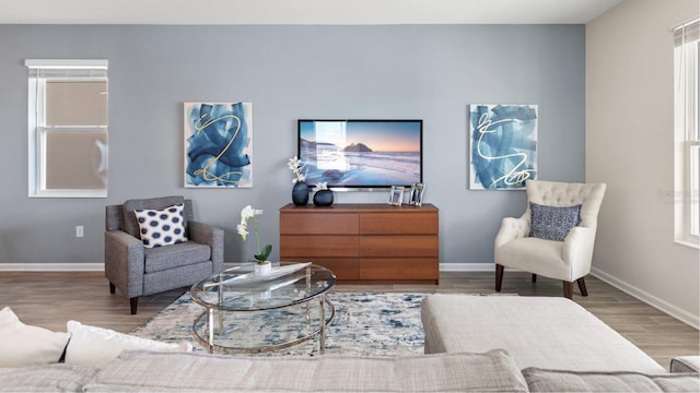 living room featuring baseboards, wood finished floors, and a wealth of natural light