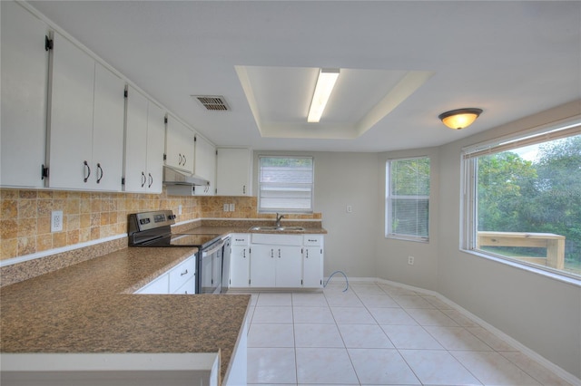 kitchen with plenty of natural light, electric range, visible vents, a sink, and under cabinet range hood