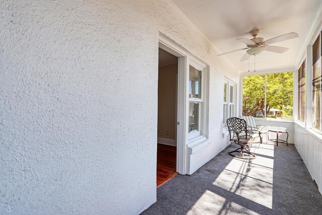 920 16th Ave N, Saint Petersburg, FL 33704 - photo 44
