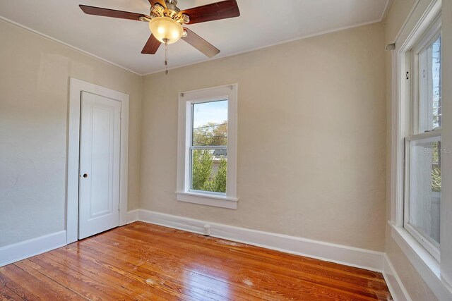 920 16th Ave N, Saint Petersburg, FL 33704 - photo 47
