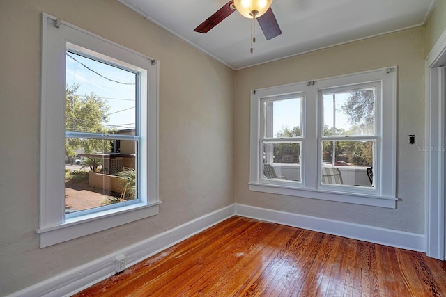 920 16th Ave N, Saint Petersburg, FL 33704 - photo 48