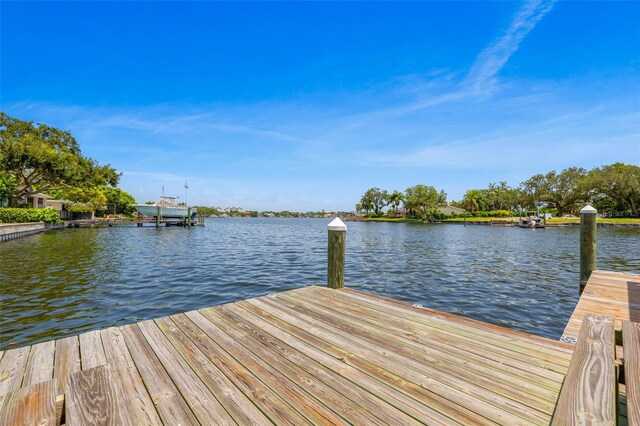 1124 35th Ave NE, Saint Petersburg, FL 33704 - photo 52