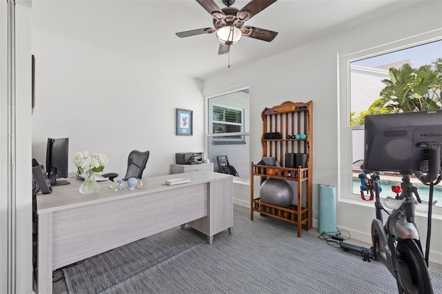 1124 35th Ave NE, Saint Petersburg, FL 33704 - photo 25