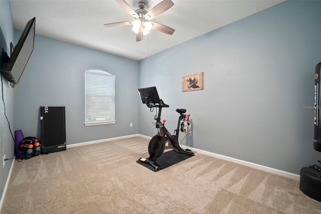 workout room featuring a ceiling fan, baseboards, and carpet