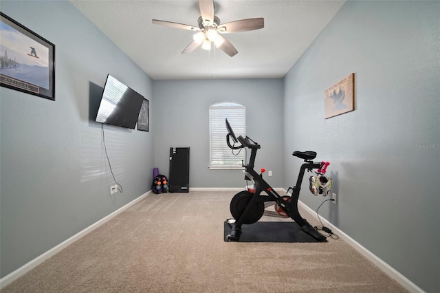 exercise room featuring ceiling fan, carpet floors, and baseboards